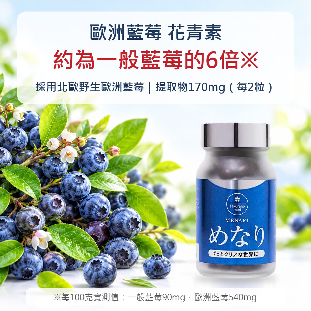 歐洲藍莓 花青素約為一般藍莓的6倍