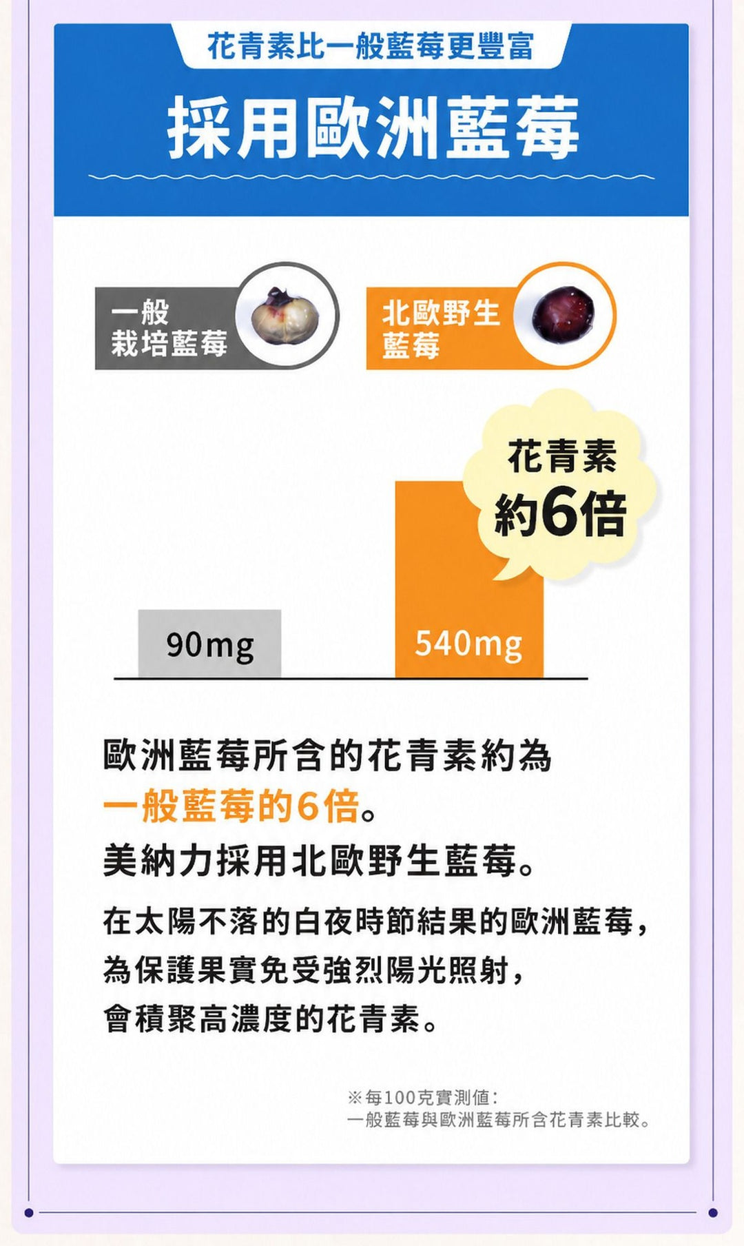 採用歐洲藍莓