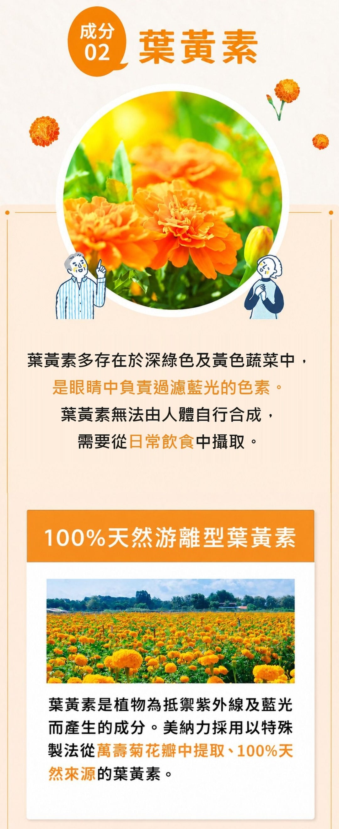 葉黃素